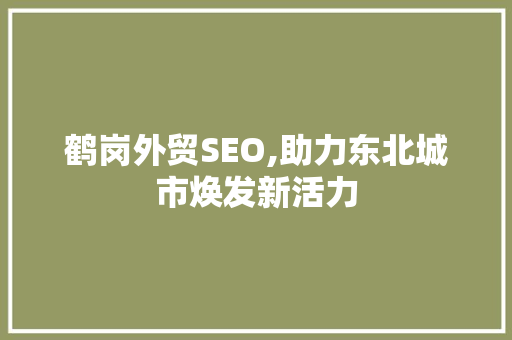 鹤岗外贸SEO,助力东北城市焕发新活力