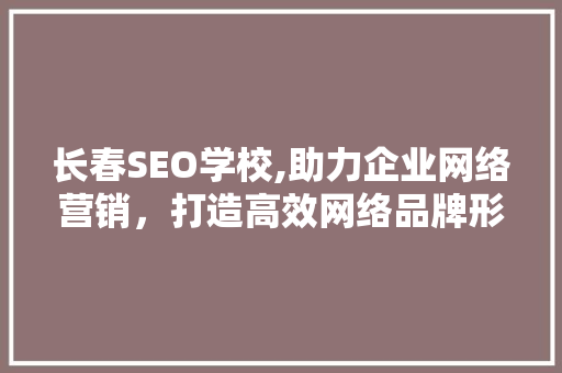 长春SEO学校,助力企业网络营销，打造高效网络品牌形象