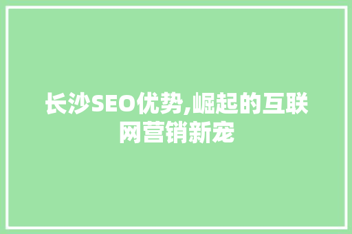 长沙SEO优势,崛起的互联网营销新宠