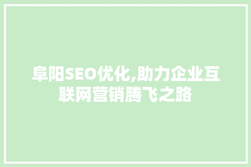 阜阳SEO优化,助力企业互联网营销腾飞之路