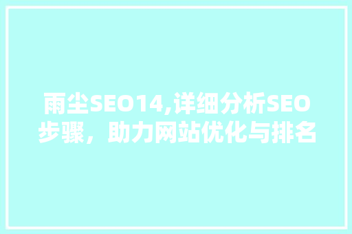 雨尘SEO14,详细分析SEO步骤，助力网站优化与排名提升