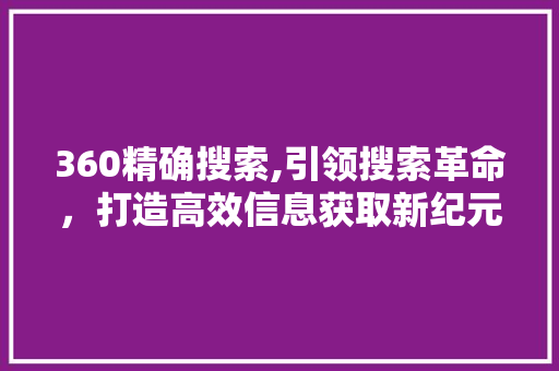 360精确搜索,引领搜索革命，打造高效信息获取新纪元