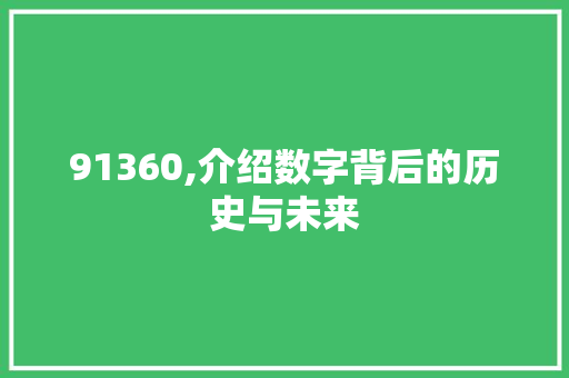 91360,介绍数字背后的历史与未来