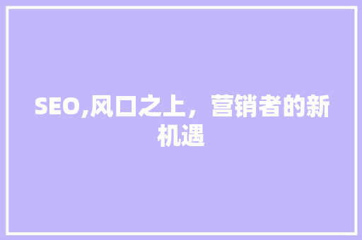 SEO,风口之上，营销者的新机遇