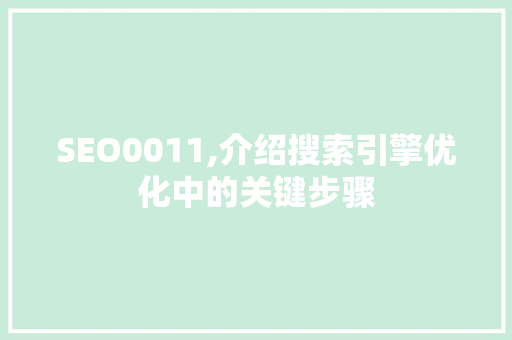 SEO0011,介绍搜索引擎优化中的关键步骤