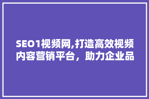 SEO1视频网,打造高效视频内容营销平台，助力企业品牌传播