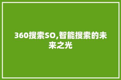 360搜索SO,智能搜索的未来之光