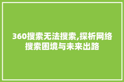 360搜索无法搜索,探析网络搜索困境与未来出路