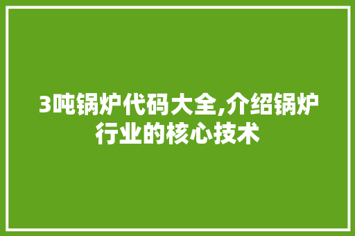 3吨锅炉代码大全,介绍锅炉行业的核心技术