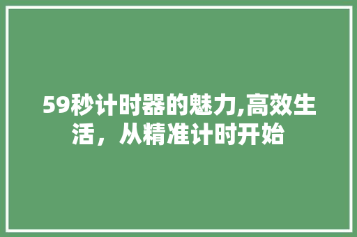 59秒计时器的魅力,高效生活，从精准计时开始