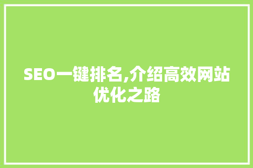 SEO一键排名,介绍高效网站优化之路