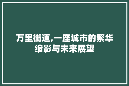 万里街道,一座城市的繁华缩影与未来展望 万里街道,一座城市的繁华缩影与未来展望 网站优化