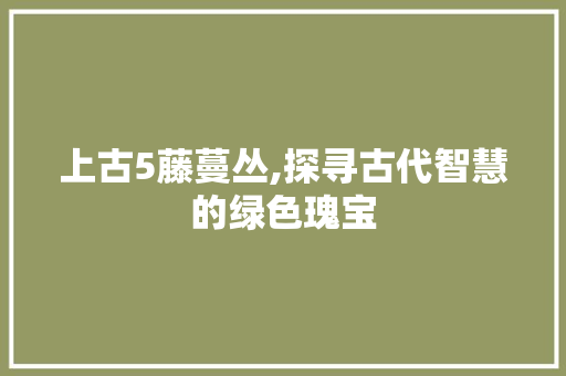 上古5藤蔓丛,探寻古代智慧的绿色瑰宝 上古5藤蔓丛,探寻古代智慧的绿色瑰宝 搜狗优化