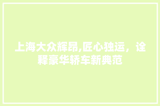 上海大众辉昂,匠心独运，诠释豪华轿车新典范 上海大众辉昂,匠心独运，诠释豪华轿车新典范 小程序开发