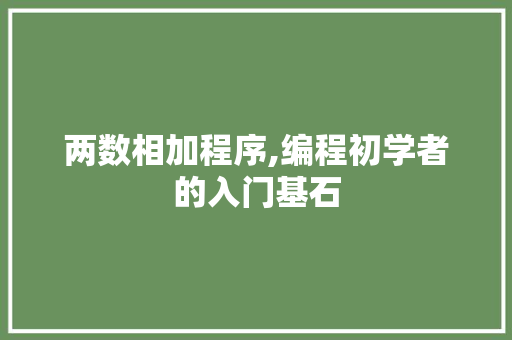两数相加程序,编程初学者的入门基石 两数相加程序,编程初学者的入门基石 小程序开发