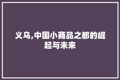 义乌,中国小商品之都的崛起与未来 义乌,中国小商品之都的崛起与未来 AI技术学习