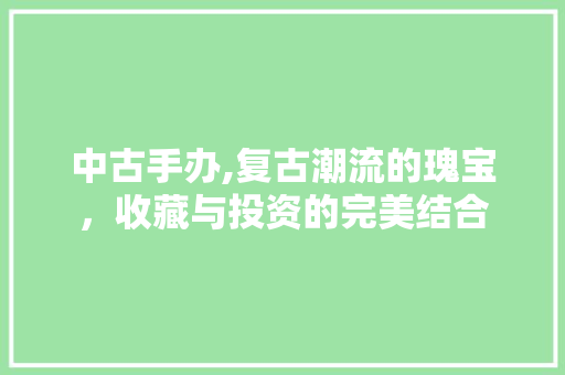 中古手办,复古潮流的瑰宝，收藏与投资的完美结合 中古手办,复古潮流的瑰宝，收藏与投资的完美结合 seo技术