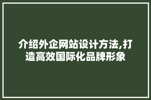 介绍外企网站设计方法,打造高效国际化品牌形象