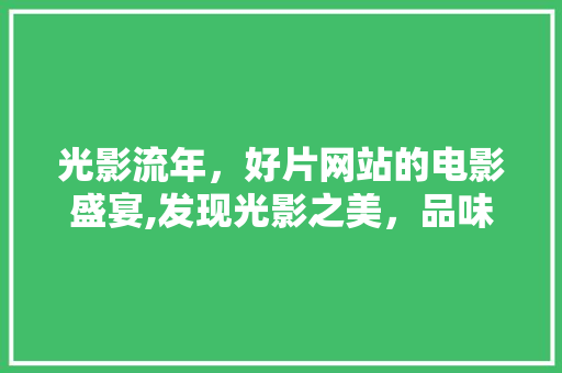 光影流年，好片网站的电影盛宴,发现光影之美，品味人生百态