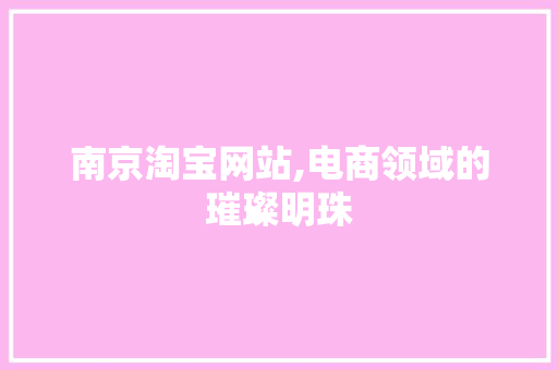 南京淘宝网站,电商领域的璀璨明珠