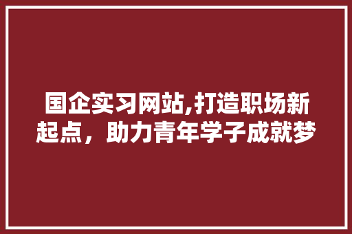国企实习网站,打造职场新起点，助力青年学子成就梦想 国企实习网站,打造职场新起点，助力青年学子成就梦想 AI技术学习