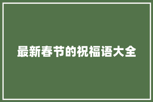 国外网站设计技术探析,创新与趋势的交融