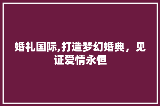 婚礼国际,打造梦幻婚典，见证爱情永恒 婚礼国际,打造梦幻婚典，见证爱情永恒 英文谷歌算法