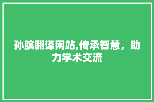 孙膑翻译网站,传承智慧，助力学术交流