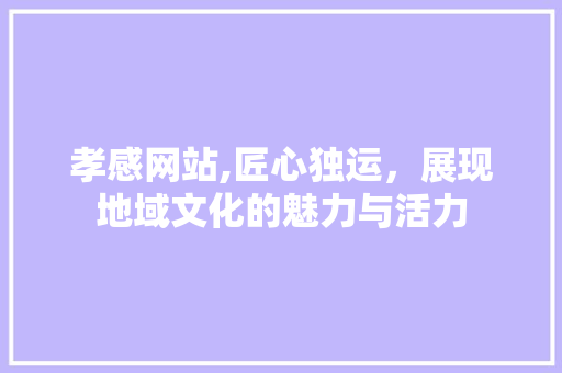 孝感网站,匠心独运，展现地域文化的魅力与活力