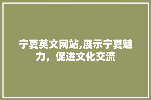 宁夏英文网站,展示宁夏魅力，促进文化交流
