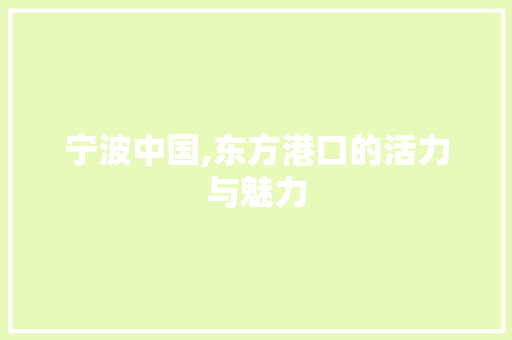 宁波中国,东方港口的活力与魅力