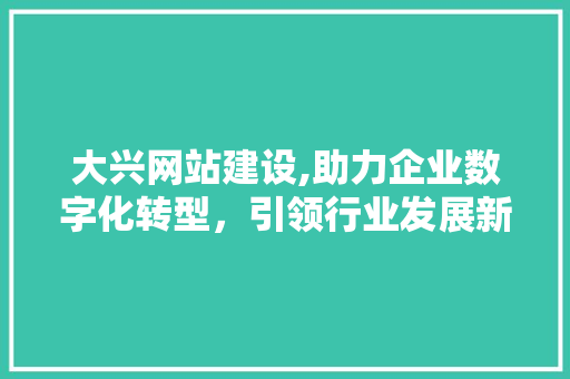 大兴网站建设,助力企业数字化转型，引领行业发展新篇章 大兴网站建设,助力企业数字化转型，引领行业发展新篇章 英文谷歌算法