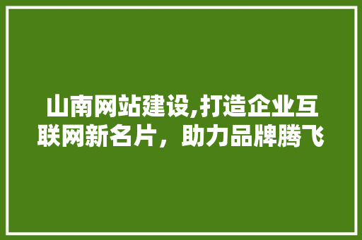 山南网站建设,打造企业互联网新名片，助力品牌腾飞
