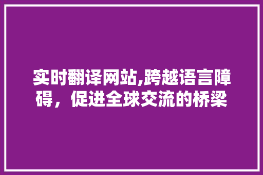 实时翻译网站,跨越语言障碍，促进全球交流的桥梁