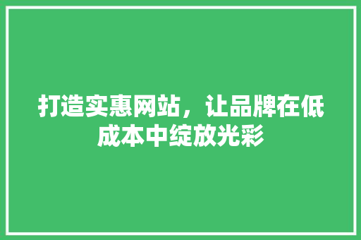 打造实惠网站，让品牌在低成本中绽放光彩