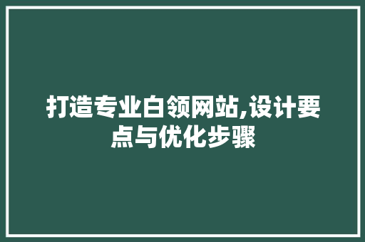 打造专业白领网站,设计要点与优化步骤 打造专业白领网站,设计要点与优化步骤 AI技术学习