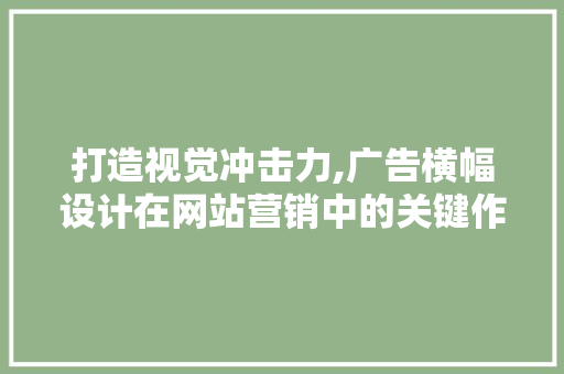 打造视觉冲击力,广告横幅设计在网站营销中的关键作用