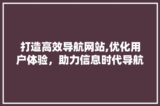 打造高效导航网站,优化用户体验，助力信息时代导航新篇章