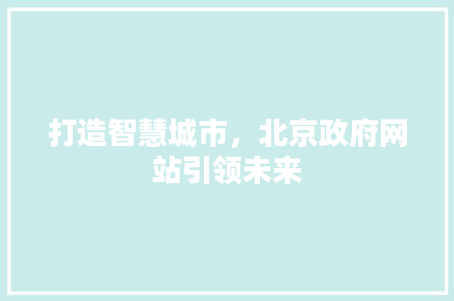 打造智慧城市，北京政府网站引领未来 打造智慧城市，北京政府网站引领未来 网站优化