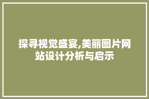 探寻视觉盛宴,美丽图片网站设计分析与启示