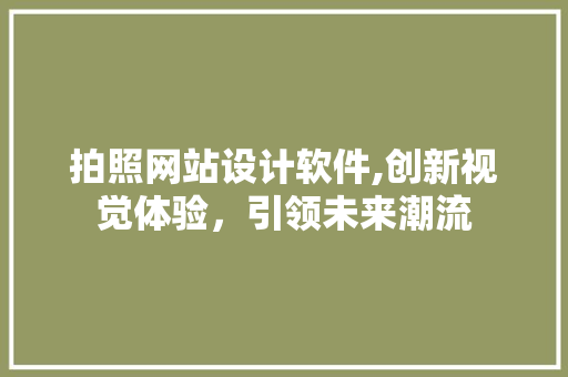 拍照网站设计软件,创新视觉体验，引领未来潮流