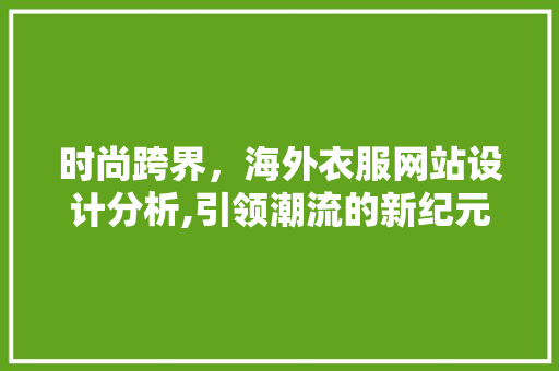 时尚跨界，海外衣服网站设计分析,引领潮流的新纪元