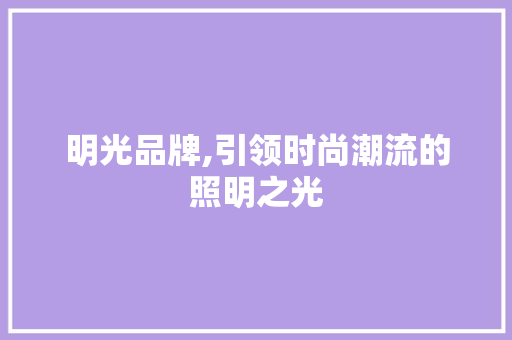 明光品牌,引领时尚潮流的照明之光 明光品牌,引领时尚潮流的照明之光 网站开发