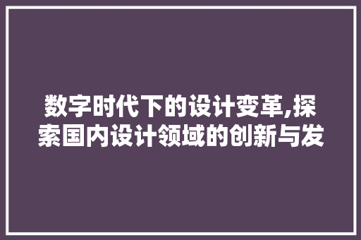 数字时代下的设计变革,探索国内设计领域的创新与发展 数字时代下的设计变革,探索国内设计领域的创新与发展 seo技术