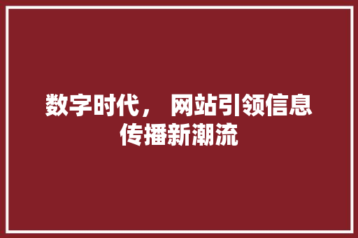 数字时代， 网站引领信息传播新潮流