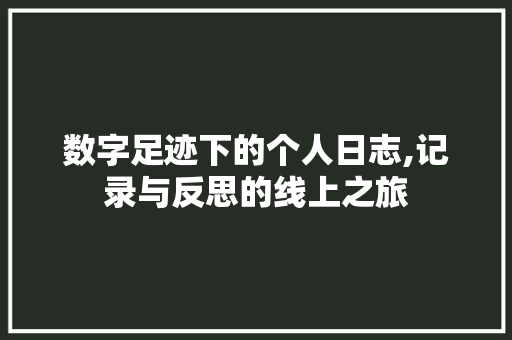 数字足迹下的个人日志,记录与反思的线上之旅