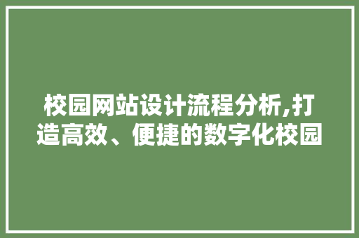 校园网站设计流程分析,打造高效、便捷的数字化校园