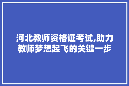 河北教师资格证考试,助力教师梦想起飞的关键一步