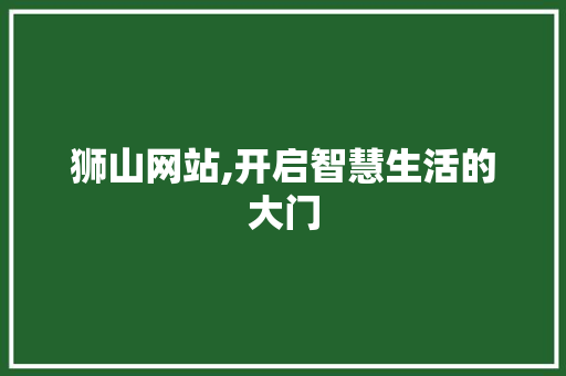 狮山网站,开启智慧生活的大门