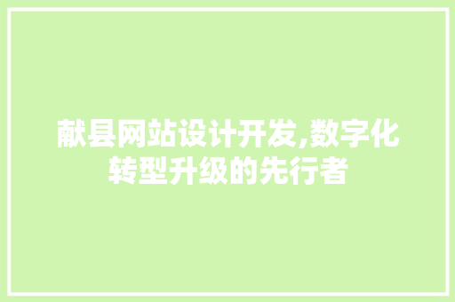 献县网站设计开发,数字化转型升级的先行者